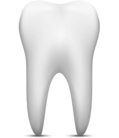 About Your Tooth: Save It with Root & Endodontic Therapy